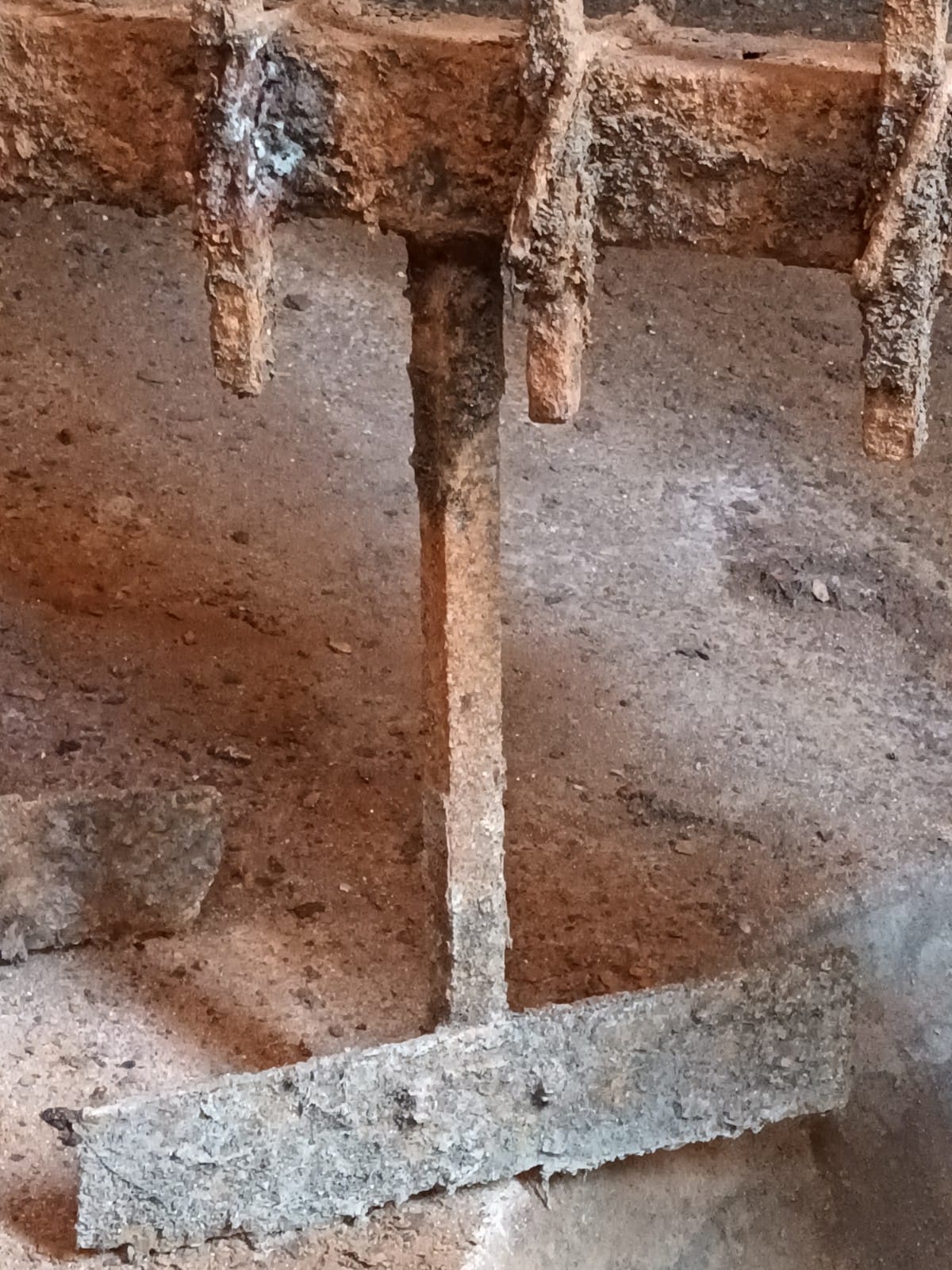 Trabajos Decantador para CMS 2015 en Motril (granada)